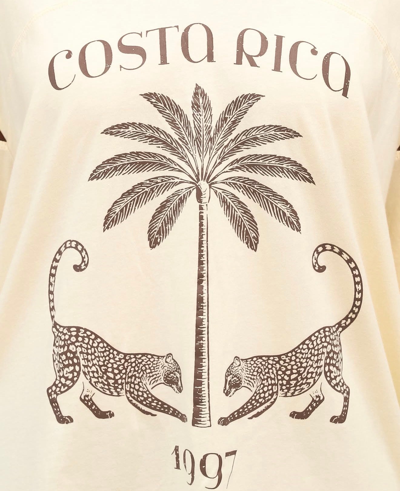Costa Rica Beige/ChocolateOversized Vintage Tee